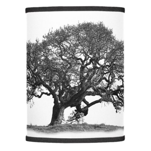 BLACK OAK TREE LAMP SHADE