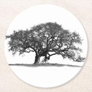 BLACK OAK TREE ROUND PAPER COASTER