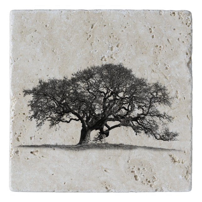 BLACK OAK TREE TRIVET (Front)