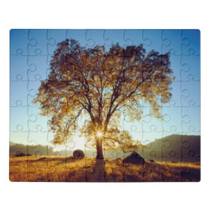 Black Oak Trees Cleveland National Forest, CA Jigsaw Puzzle