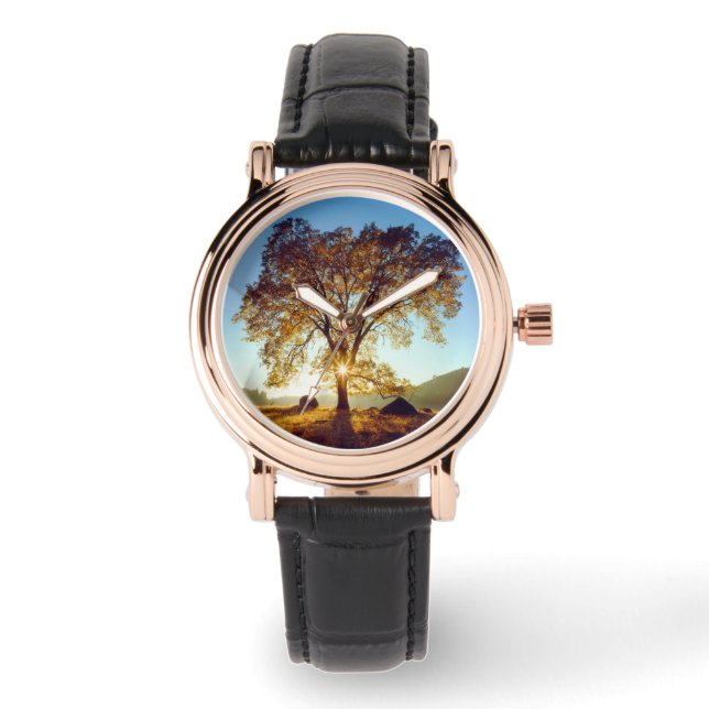 Black Oak Trees | Cleveland National Forest, CA Watch (Front)