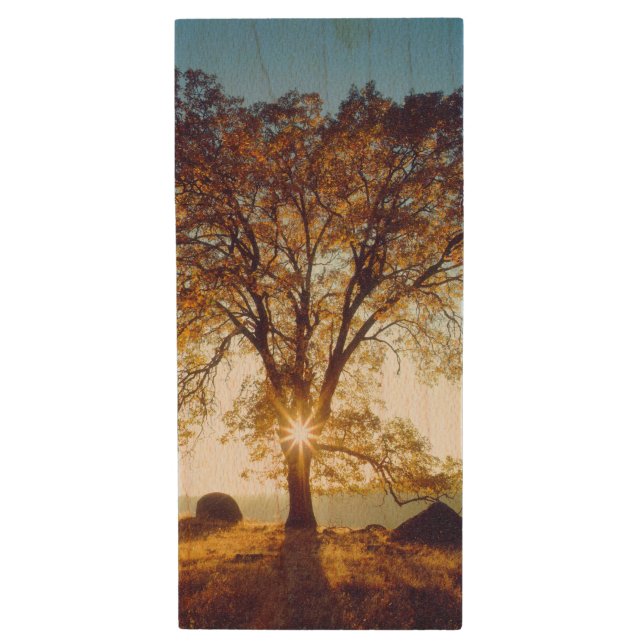 Black Oak Trees | Cleveland National Forest, CA Wood Flash Drive (Front Vertical)