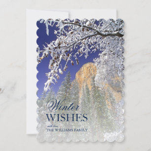 Black Oak Trees in Snow at Yosemite