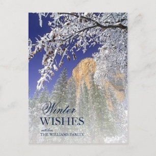 Black Oak Trees in Snow at Yosemite Postcard