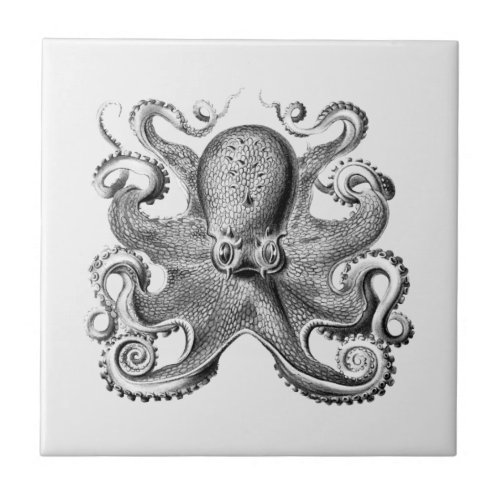 Black Octopus illustration by Ernst Haeckel Ceramic Tile