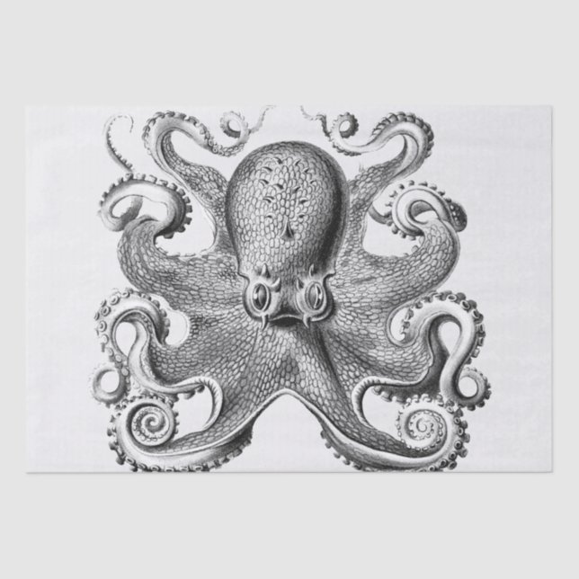 Black Octopus illustration by Ernst Haeckel Tissue Paper (Front)