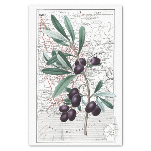 Black Olive Branch Map France Decoupage Vintage  Tissue Paper