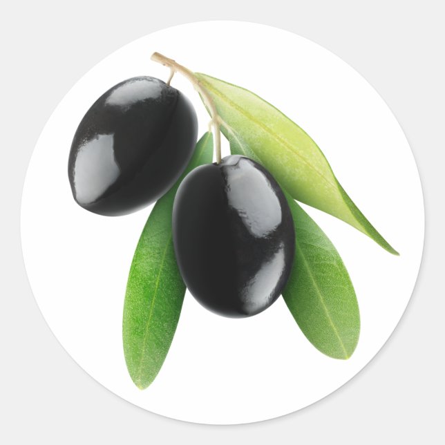 Black olives on a branch classic round sticker (Front)