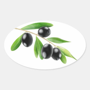 Black olives on a branch oval sticker