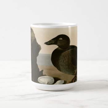 Black Or Surf Duck Coffee Mug by birdpictures at Zazzle