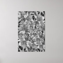 Black or White Stretched Canvas Print