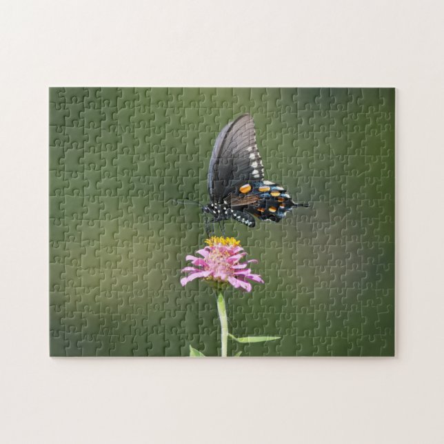 Black Orange Blue Butterfly on Pink Flower Nature Jigsaw Puzzle (Horizontal)