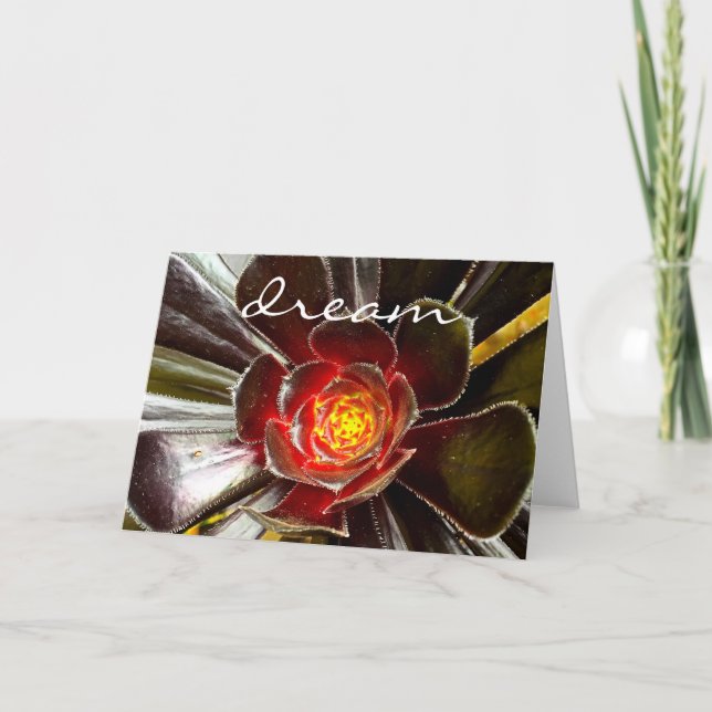 Black Orange Cactus Succulent Photo Dream Bold Card (Front)