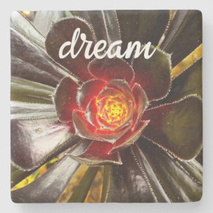 Black Orange Cactus Succulent Photo Dream Script Stone Coaster