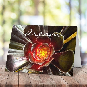 Black Orange Cactus Succulent Photography Dream Card