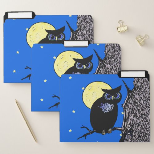 Black Owl blue Eyes in Tree Full Yellow Moon Stars File Folder