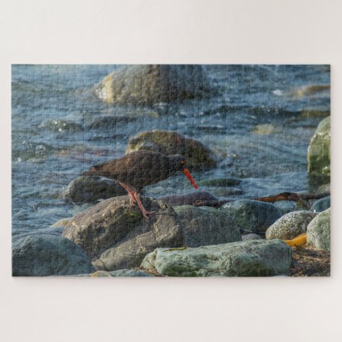 Black Oyster Catcher Jigsaw Puzzle