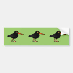 Black Oystercatcher Bumper Sticker