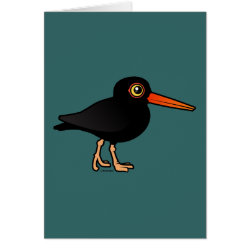 Black Oystercatcher Greeting Card