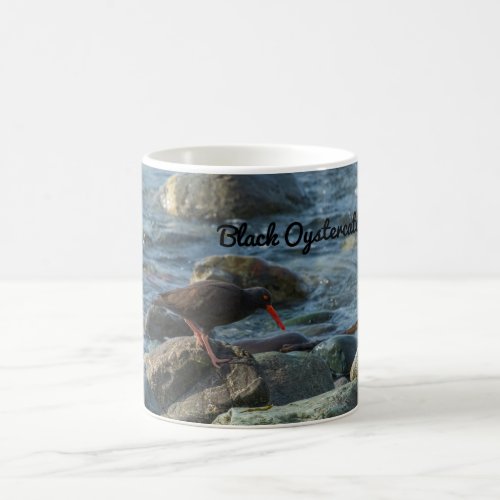 Black Oystercatcher Coffee Mug