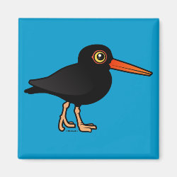 Black Oystercatcher Square Magnet