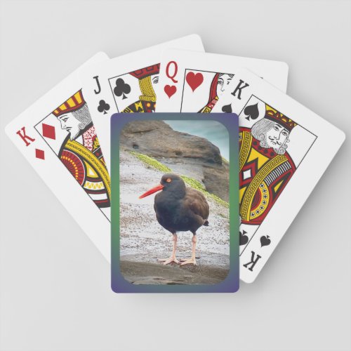 Black Oystercatcher Playing Cards