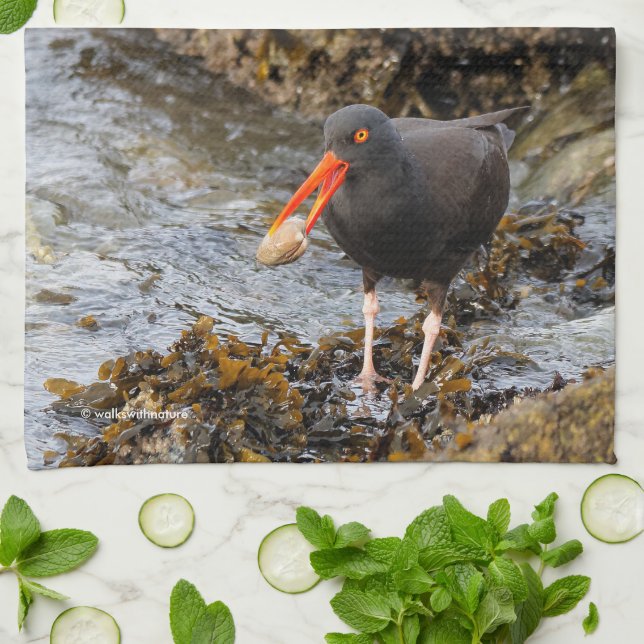 Black Oystercatcher Shorebird Fishing at the Beach Towel (Folded)
