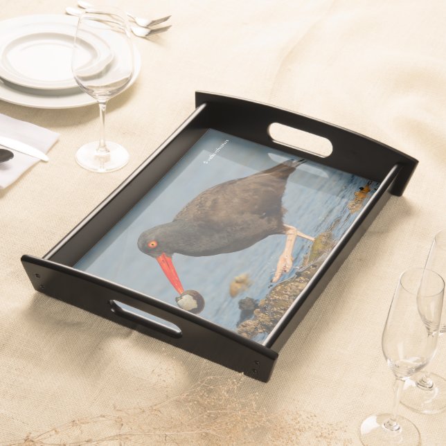 Black Oystercatcher with Clam Serving Tray (Front)
