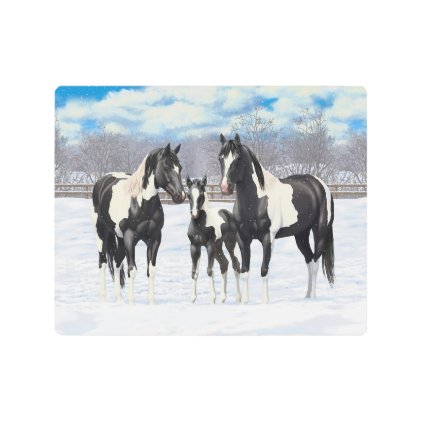 Black Paint Horses In Snow Metal Print