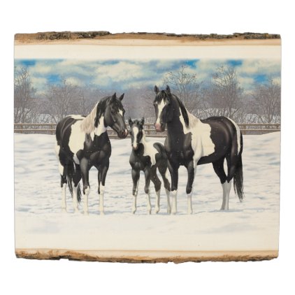 Black Paint Horses In Snow Wood Panel