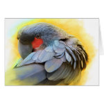 Black Palm Cockatoo Realistic Painting Greeting Card