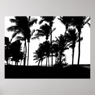 Black Palms Print Poster