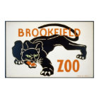 Black Panther at the Brookfield Zoo WPA