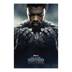 Black Panther | Black Panther Character