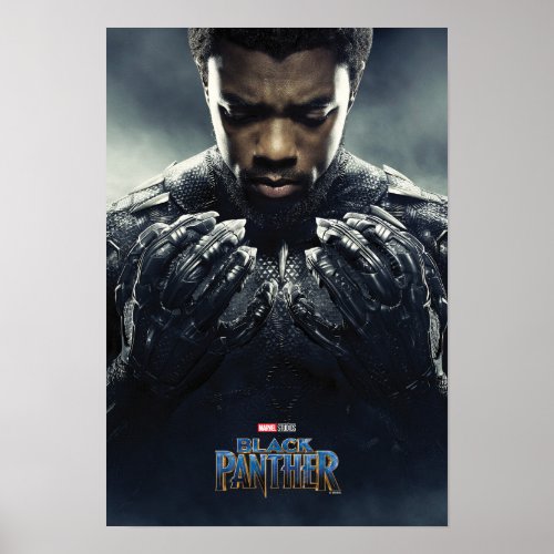Black Panther  Black Panther Character Poster
