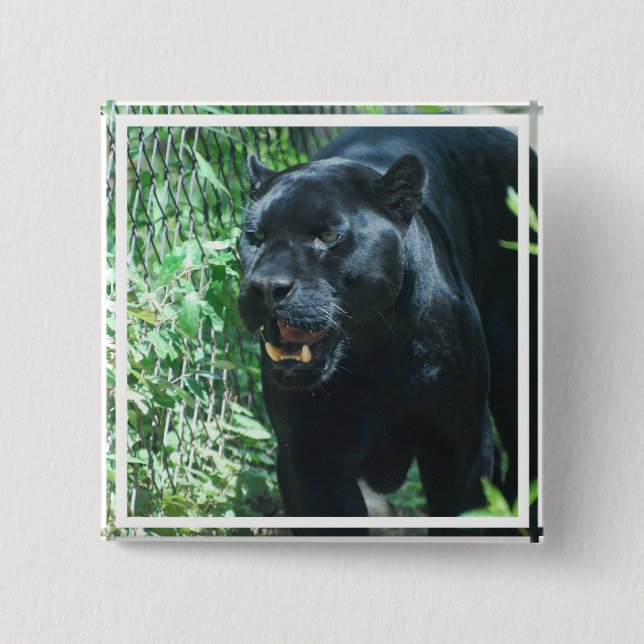 Black Panther Cat   Button (Front)
