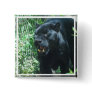Black Panther Cat   Button