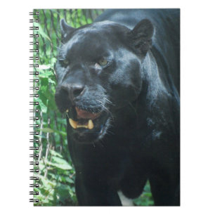 Black Panther Cat Notebook