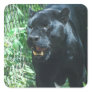 Black Panther Cat  Stickers