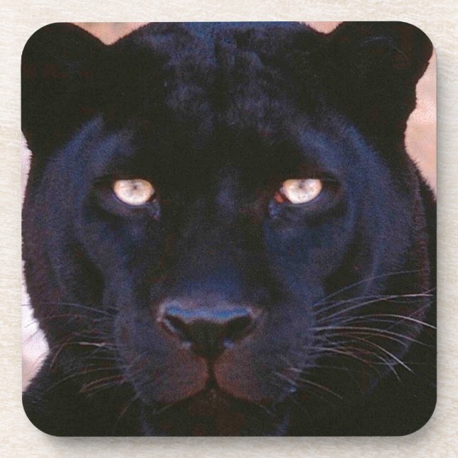 Black Panther Drink Coaster (Front)