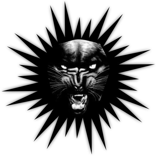 Black Panther Face Round Pillow
