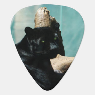 Black Panther Guitar Pick