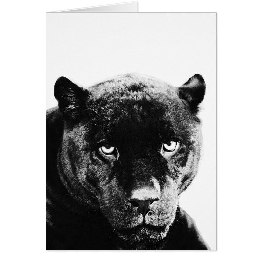 Black Panther Jaguar Cards (Front)
