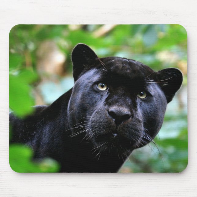 Black Panther Macro Mouse Pad (Front)