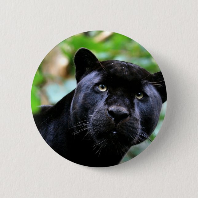 Black Panther Macro Pinback Button (Front)