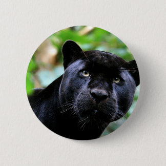 Black Panther Macro Pinback Button