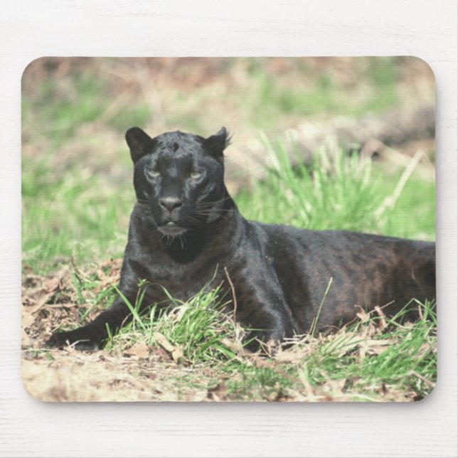 Black Panther Mousepad (Front)