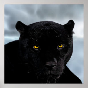 Black Panther Animal Posters & Prints | Zazzle