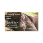 Black Panther Sleeping Business Card