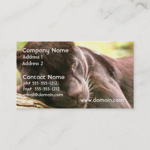 Black Panther Sleeping Business Card